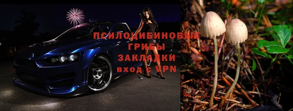 ГАЛЛЮЦИНОГЕННЫЕ ГРИБЫ Алексеевка