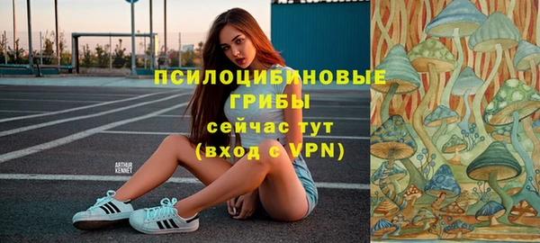 ГАЛЛЮЦИНОГЕННЫЕ ГРИБЫ Алексеевка