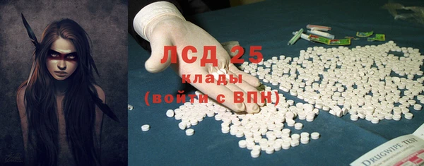 ГАЛЛЮЦИНОГЕННЫЕ ГРИБЫ Алексеевка