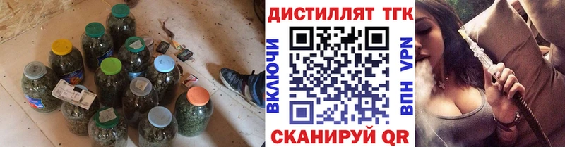 где найти   Полысаево  ТГК концентрат 