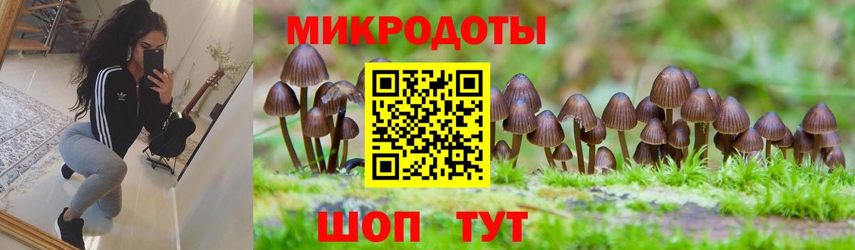 Псилоцибиновые грибы MAGIC MUSHROOMS  Вход с VPN  Полысаево 
